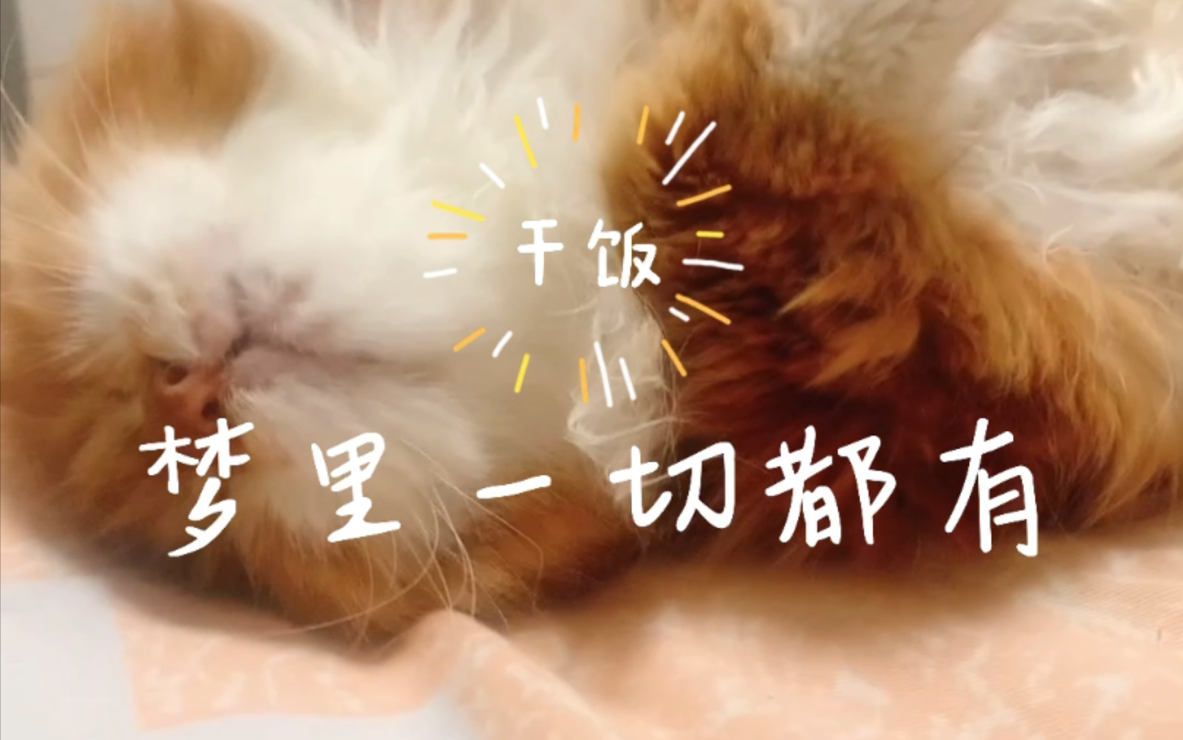 梦里一切都有 橘猪的梦