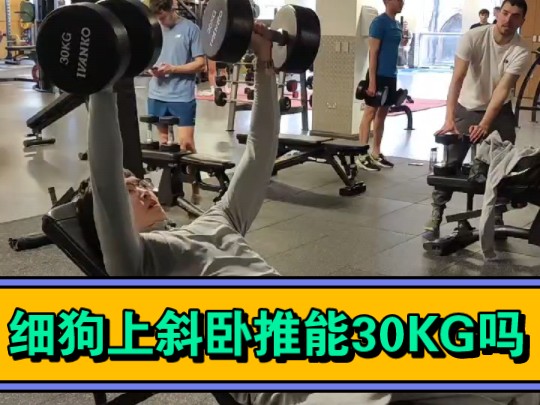 细狗上斜卧推单只30kg