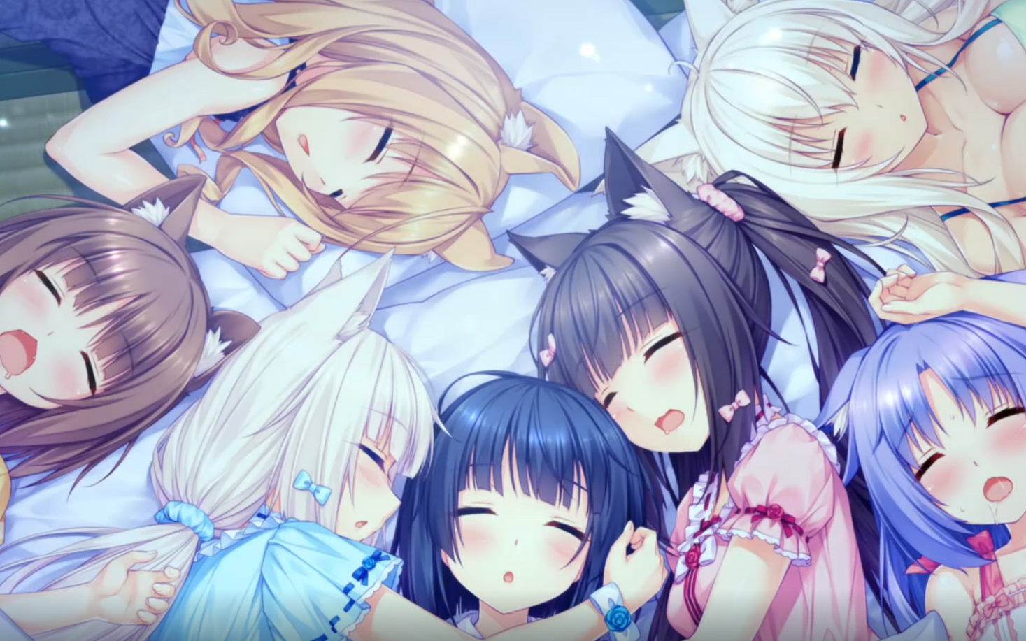 [图]【黑椿/nekopara vol.0（猫娘乐园0）】猫娘们的闹腾时光