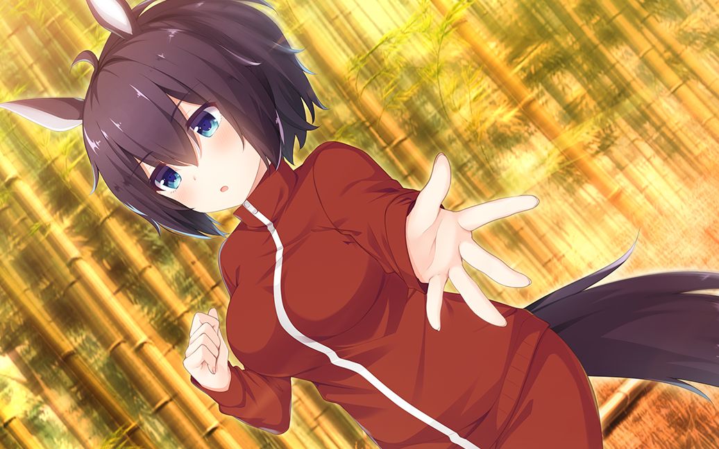 神明的尾巴-午马篇