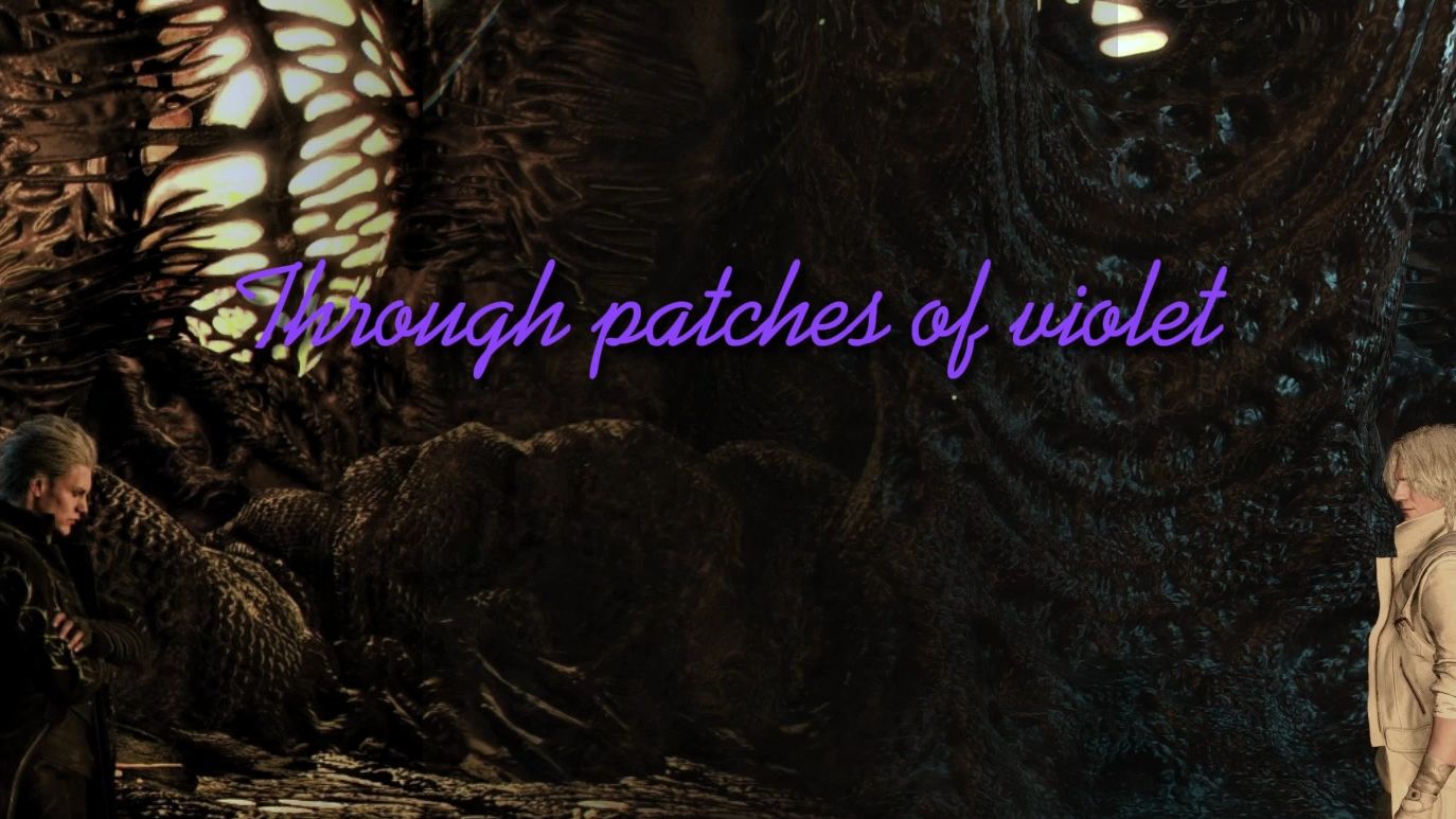 [图][DV合唱]Through patches of violet