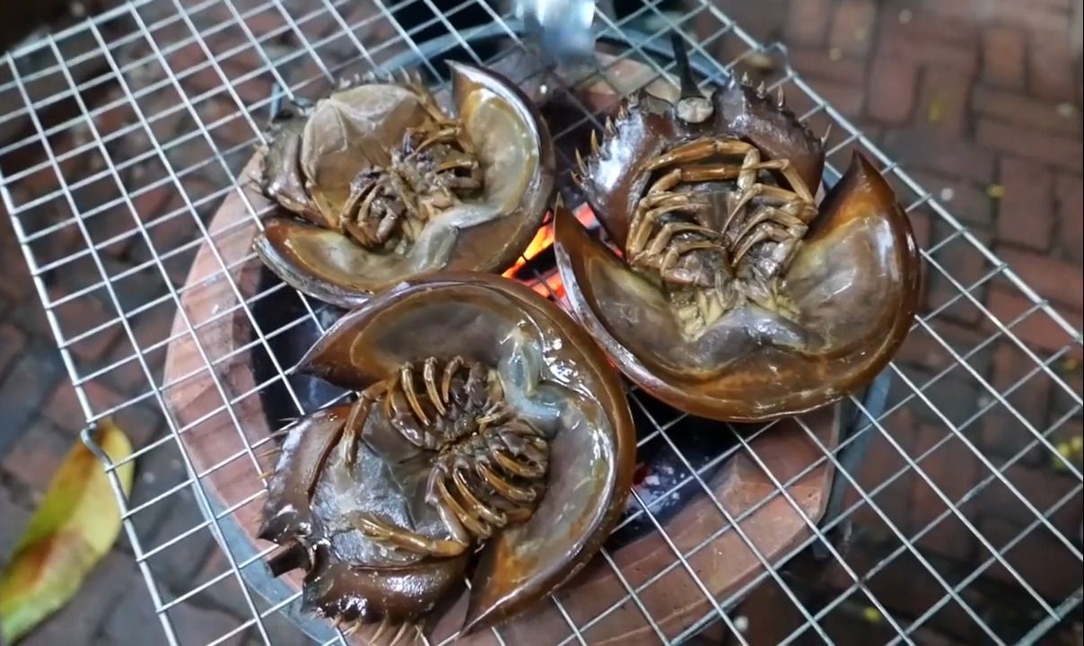 泰国美食—马蹄蟹(鲎)烹饪方式