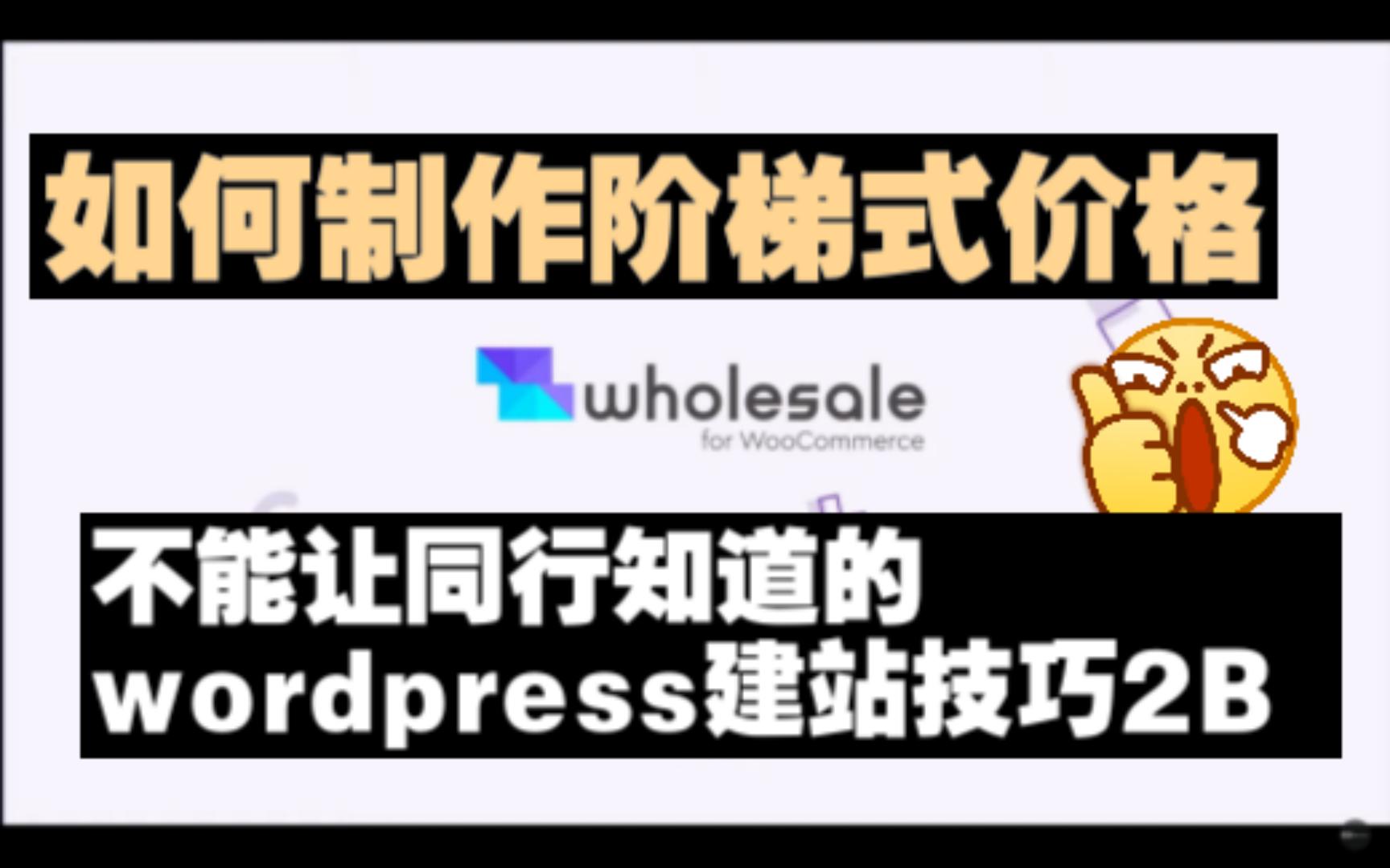 不能让同行知道的wordpress建站技巧2B 如何制作阶梯式价格 tiered pricing | Wholesale for WooCommerce哔哩哔哩bilibili