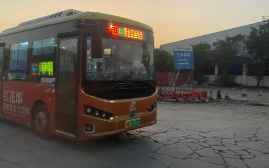 【前方展望pov】深圳巴士集团m483|(南山中心区公交总站-大铲湾公交