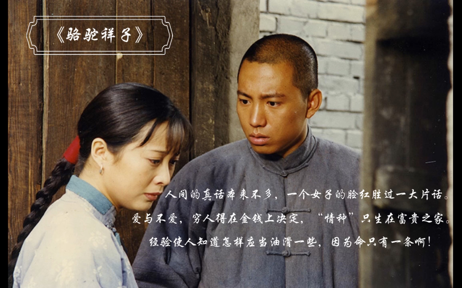 1998骆驼祥子电视剧图片