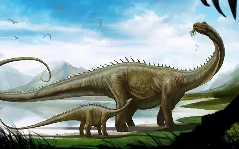 11岁小朋友的古生物科普之路—易碎极巨龙的误区