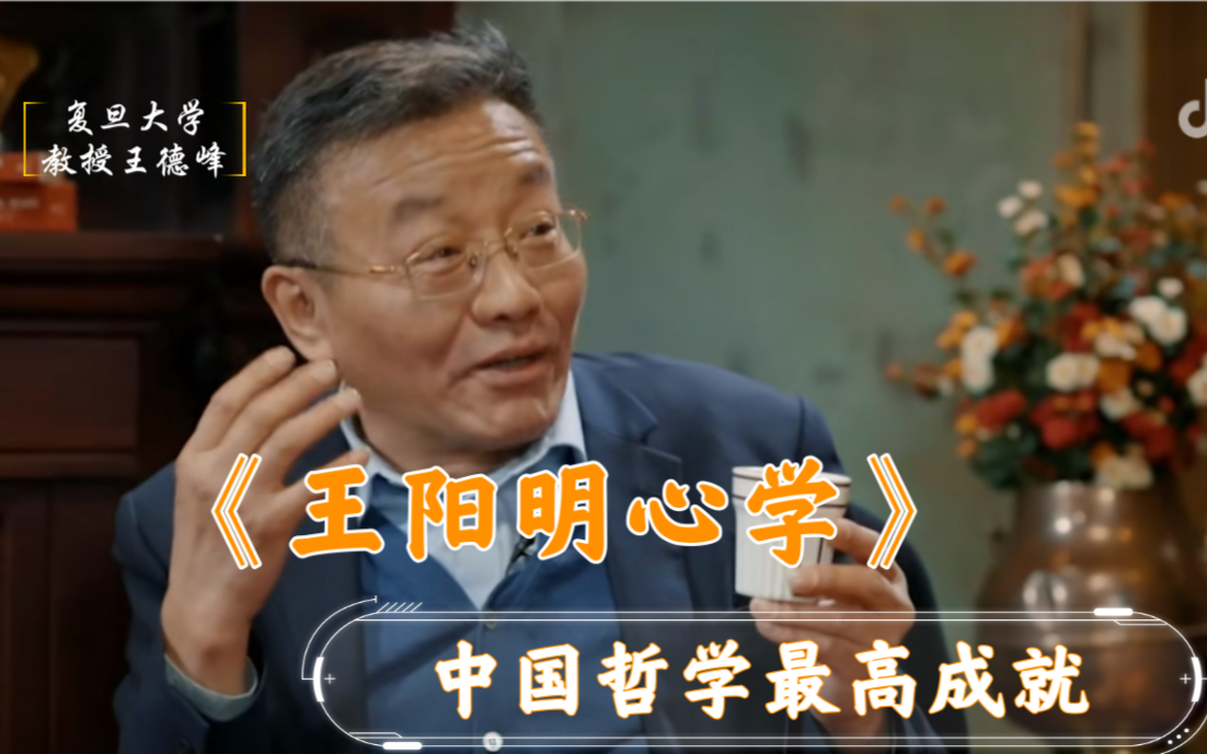 复旦大学王德峰讲读王阳明心学高清字幕版王阳明心学及其现代意义