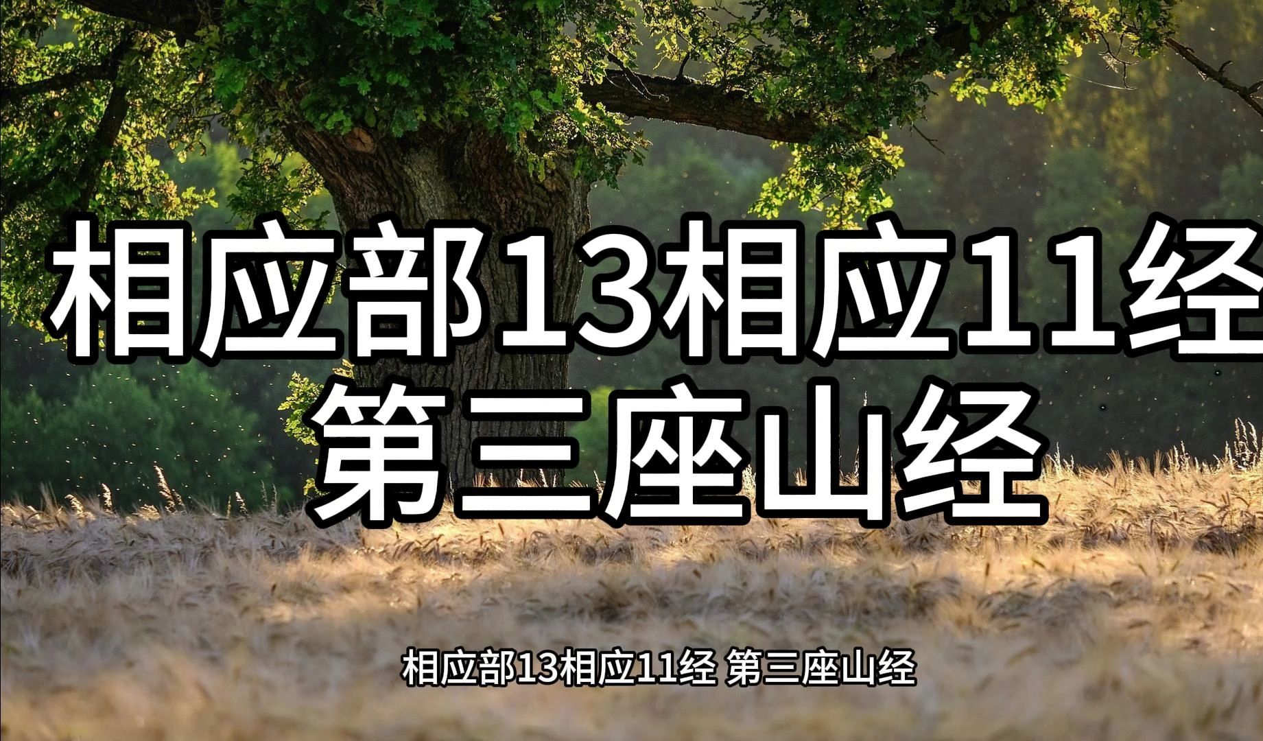 127.相应部13相应11经 第三座山经(白话佛经)解说哔哩哔哩bilibili