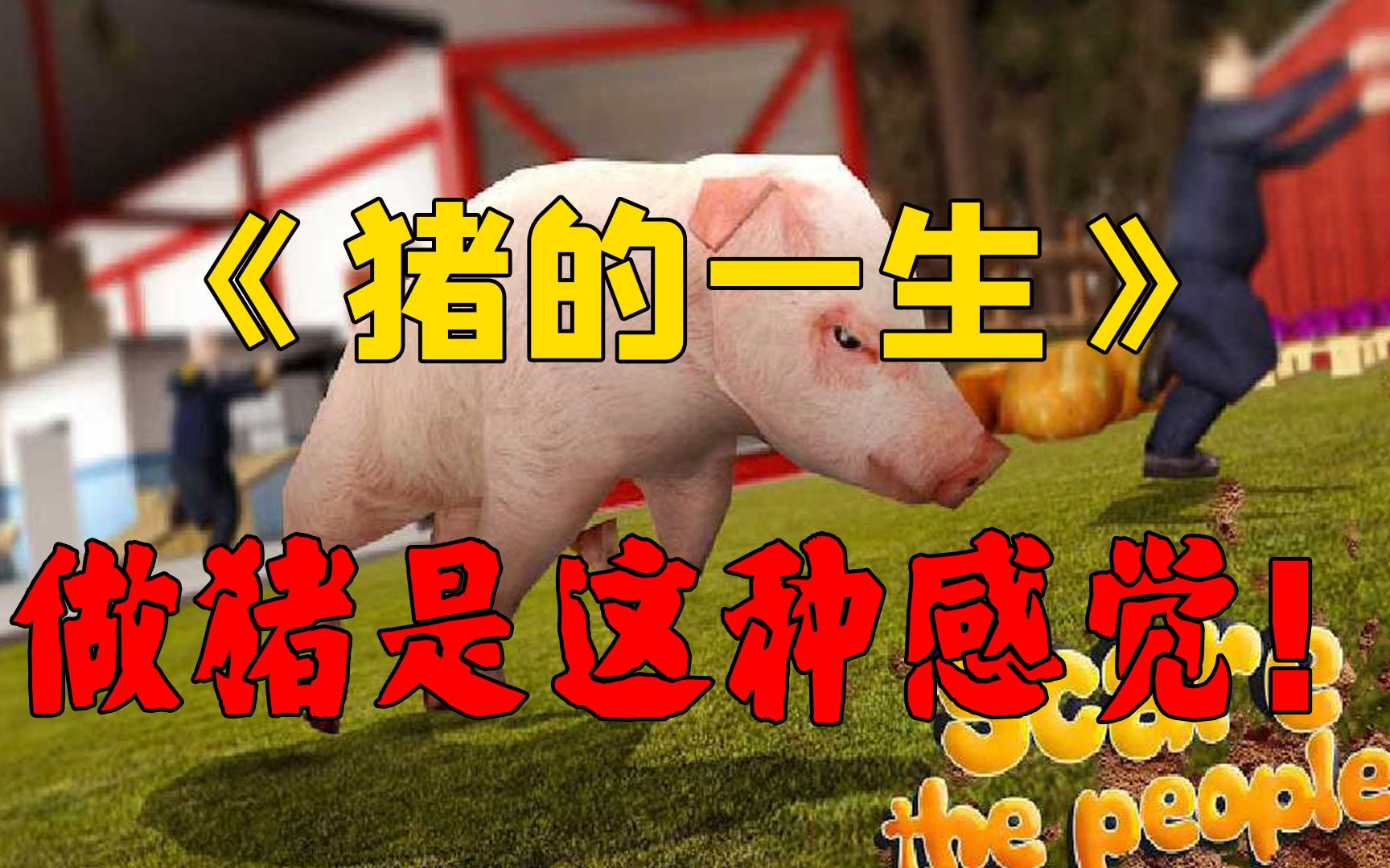 最傻雕的模拟游戏《猪的一生》,原来做猪是这种感觉_哔哩哔哩_bili