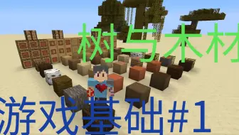 Minecraft 始原生存39 尋找所有種類的木材建材特輯 當個創世神 哔哩哔哩 Bilibili