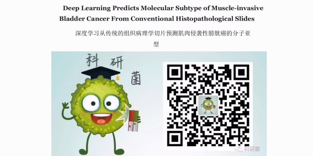 这篇17分的文章告诉你:深度学习和分子分型其实并不难!哔哩哔哩bilibili