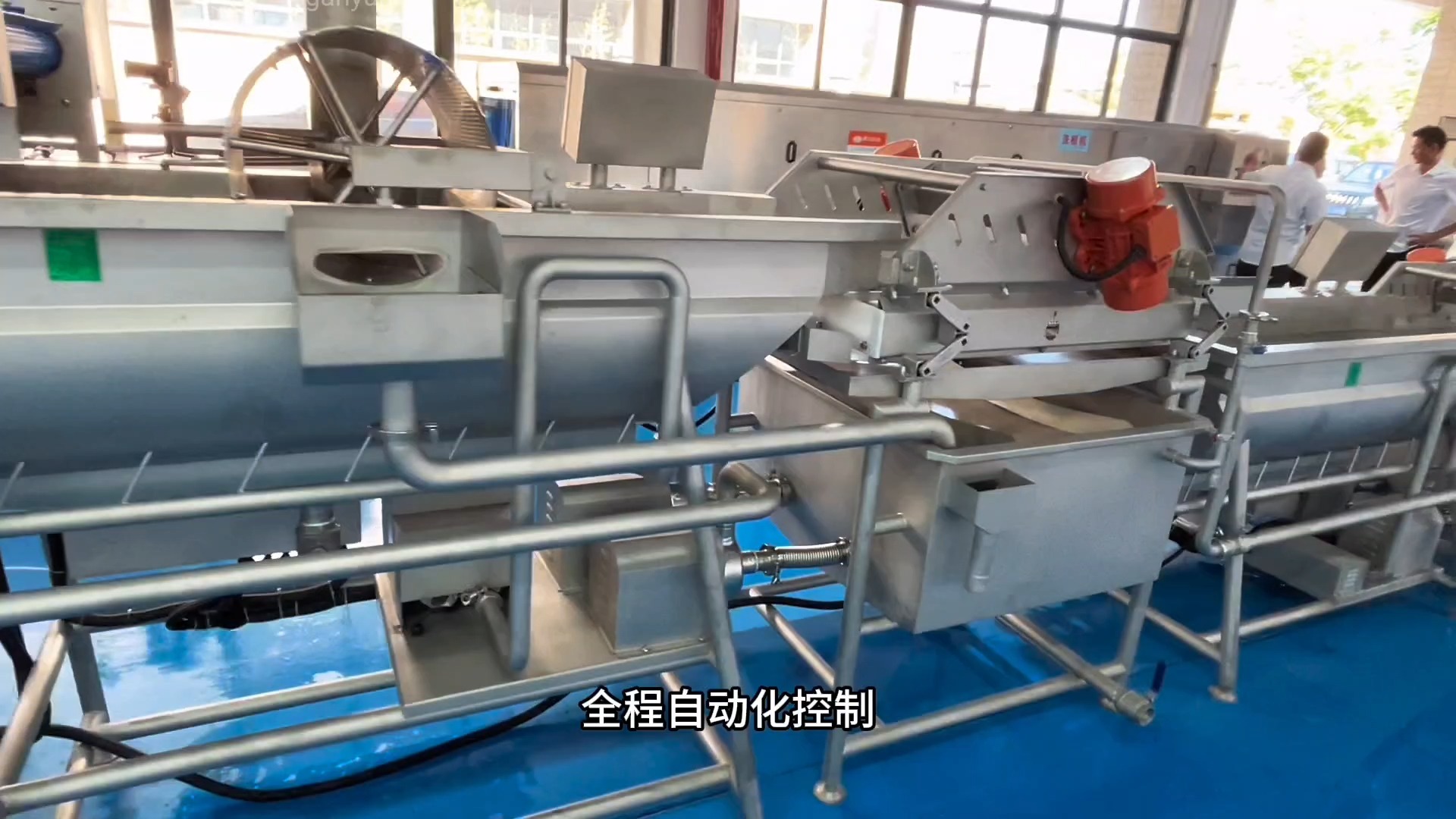 双用净菜加工流水线 果蔬切配清洗风干生产线