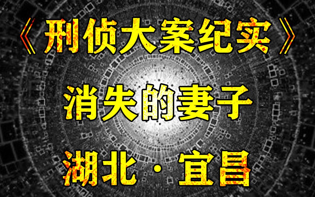 湖北宜昌大案:现实版消失的她,贼喊捉贼,细思极恐哔哩哔哩bilibili