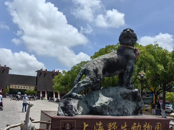 游玩上海野生动物园,还是觉得大熊猫最可爱.