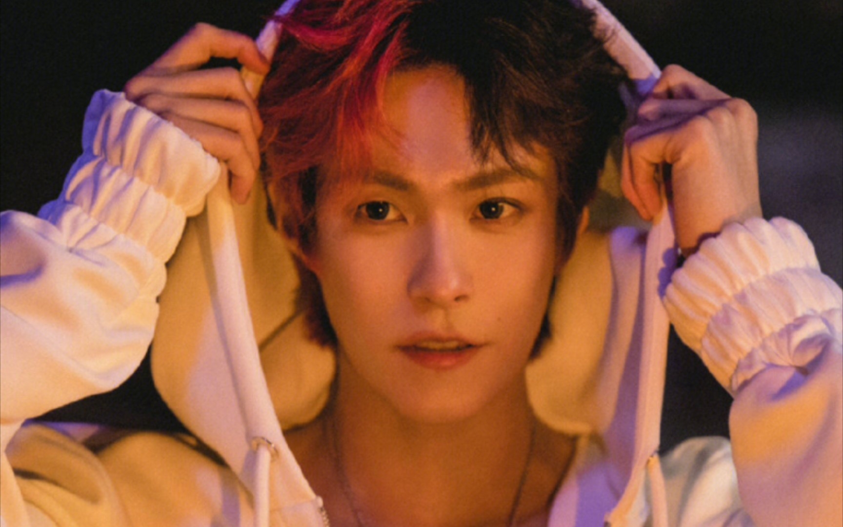 【岳明辉】雪媚娘小狗的八百个物料