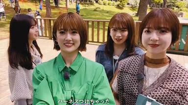乃木坂46 星野みなみ 若月佑美 和田まあや オリエンタルラジオ　サイン Amazon.co.jp: 星野みなみ 若月佑美 和田まあや オリエンタル