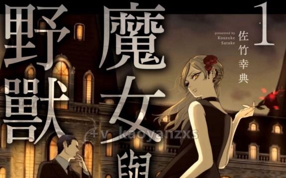 漫画 魔女与野兽 19卷哔哩哔哩bilibili