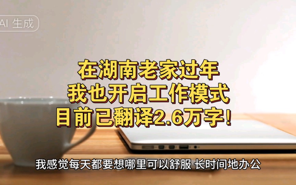 在湖南老家过年,我也开启工作模式,目前已翻译2.6万字/词哔哩哔哩bilibili