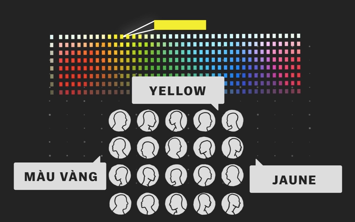 【双语字幕】为什么世界上几乎所有的语言中都有"红色"这个单词?