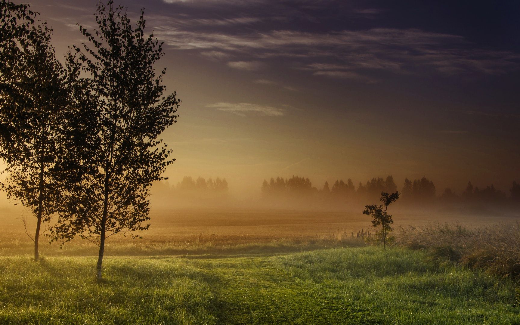 悦耳动听的纯音乐99简单音符但悠远脱俗的意境让人听了心旷神怡