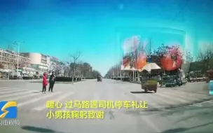 Tải video: 暖心一幕！驾驶员礼让行人，小男孩鞠躬致谢