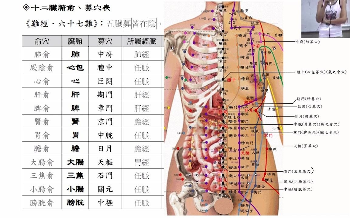 [图]jt叔叔伤寒论慢慢教第三周第二课十二募穴的保养