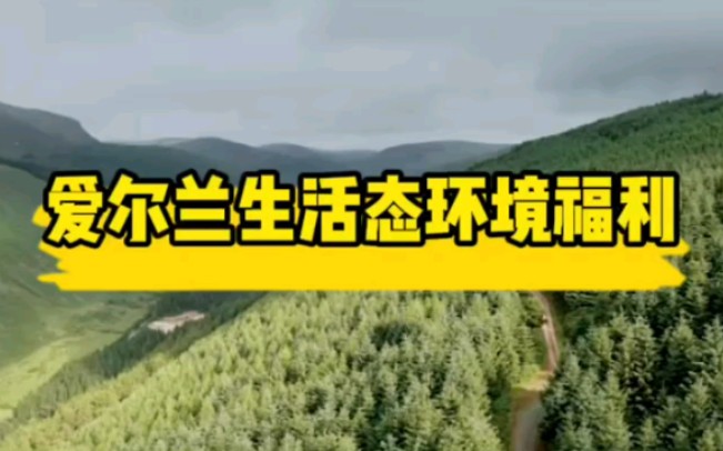 爱尔兰生活环境优势,造就自然风景与农牧业的有机结合哔哩哔哩bilibili