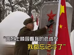第十一批在韩志愿军烈士遗骸回国前夕，90岁志愿军老战士雪天来到烈士陵园看老战友