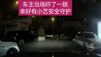 Descargar video: 问界车主当场吓了一跳，幸好有小艺安全守护。