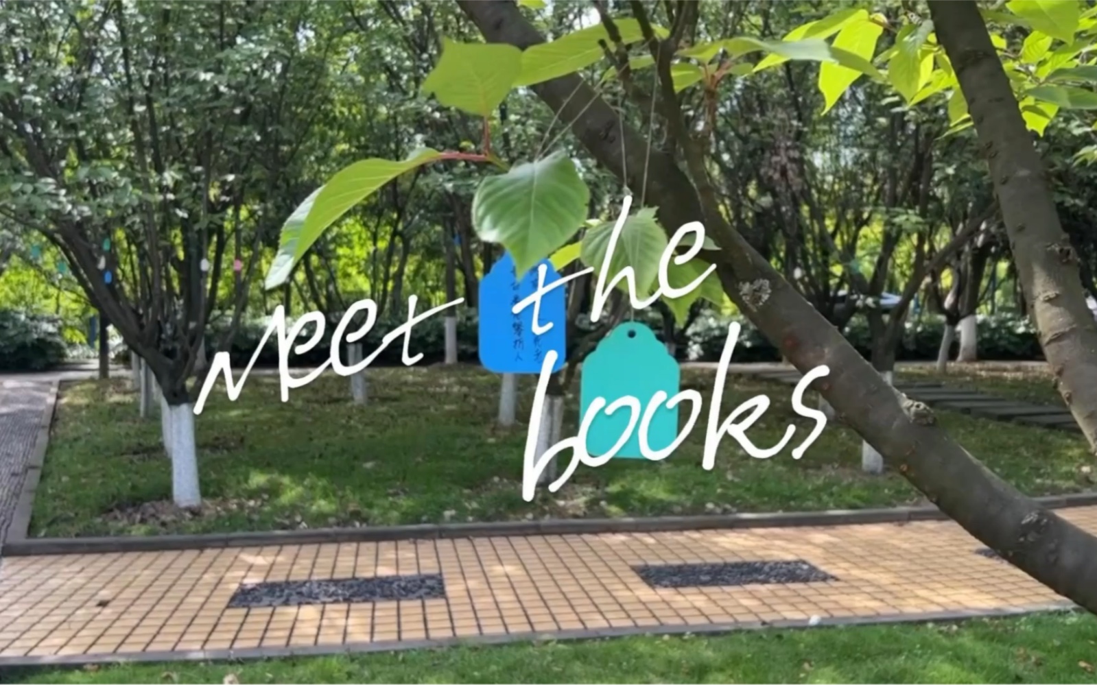 世界读书日英语短视频《Meet The Book》哔哩哔哩bilibili