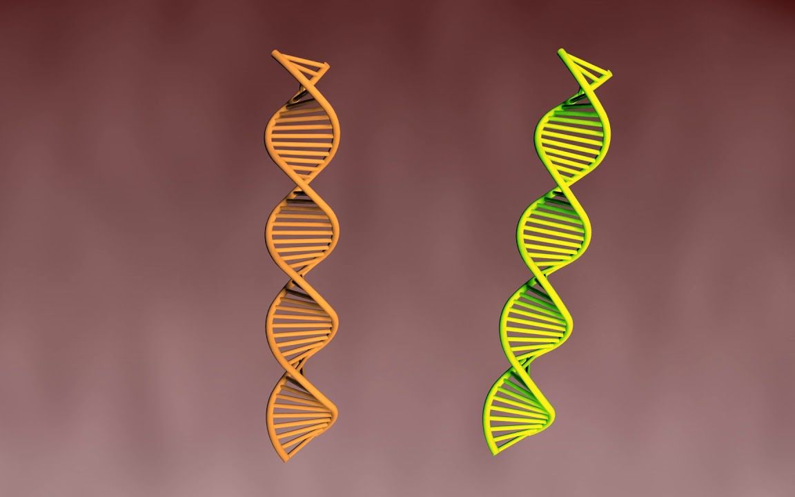 [图]β内酰胺类抗生素的作用机制和耐药机制 | 药理学动画 | 双语字幕