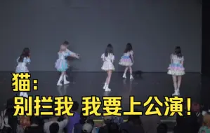 下载视频: 猫咪：别拦着我 我要上公演！ || 【GNZ48】《他们所不知道的NIII》成都巡演