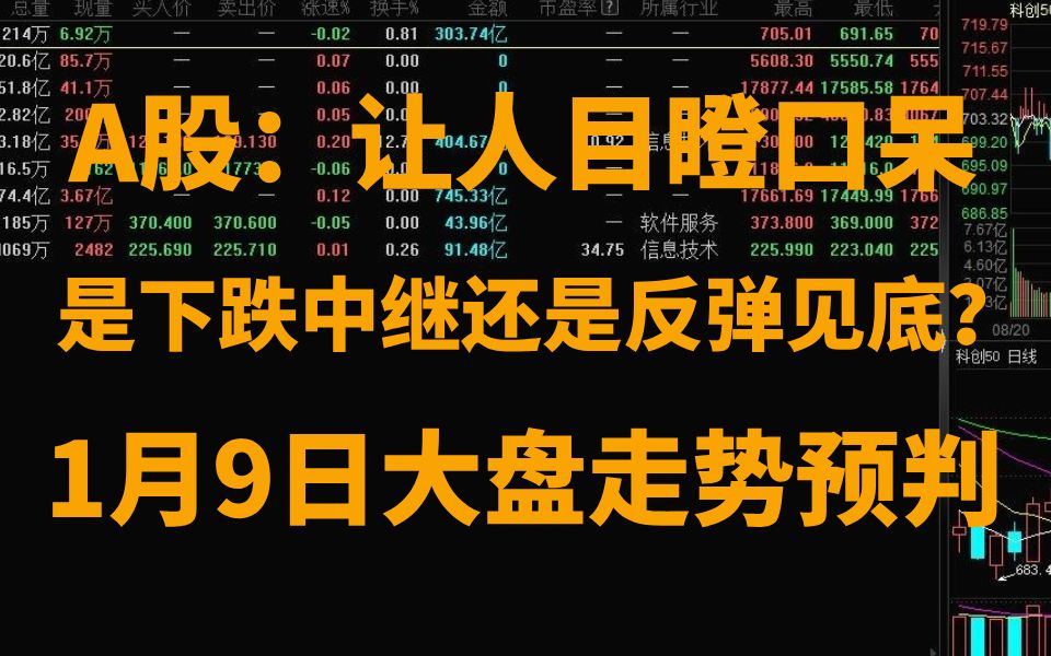 A股:让人目瞪口呆,国办印发重要文件!超百亿资金趁急跌时抄底!是下跌中继是反弹见底?1月9日大盘走势预判哔哩哔哩bilibili