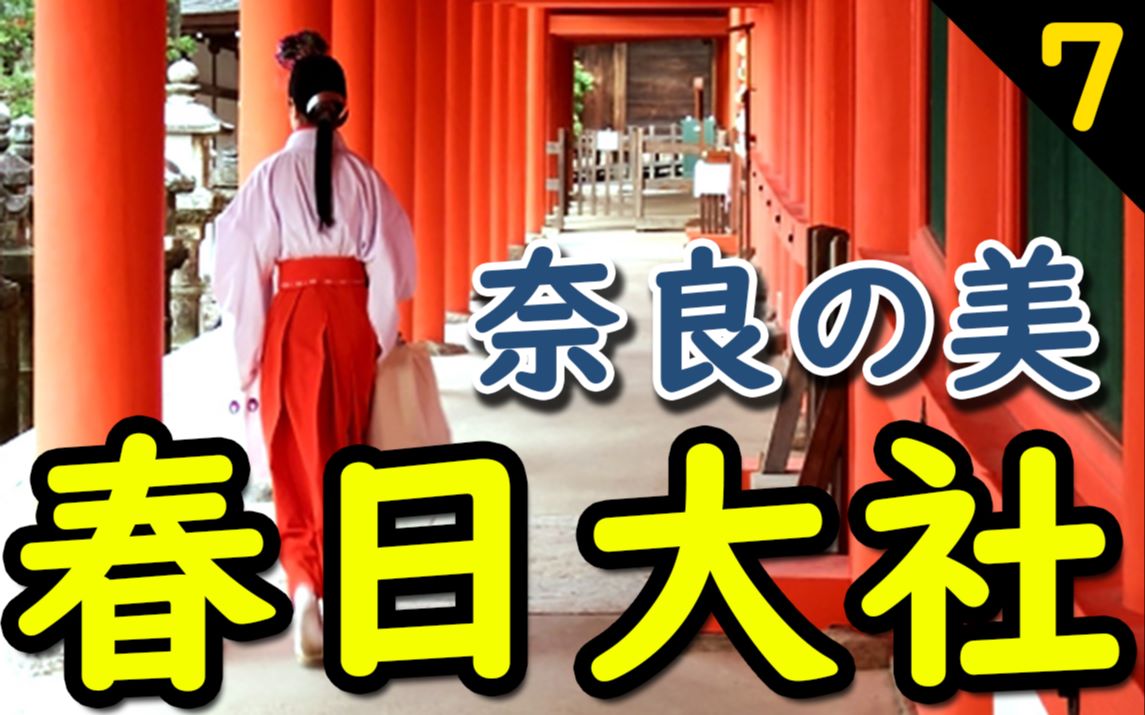 【精华】春日大社 日本大阪京都奈良旅游必去之地 令和日本Aya 第7集哔哩哔哩bilibili