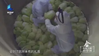 幸福三重奏第二季第三期 哔哩哔哩 Bilibili