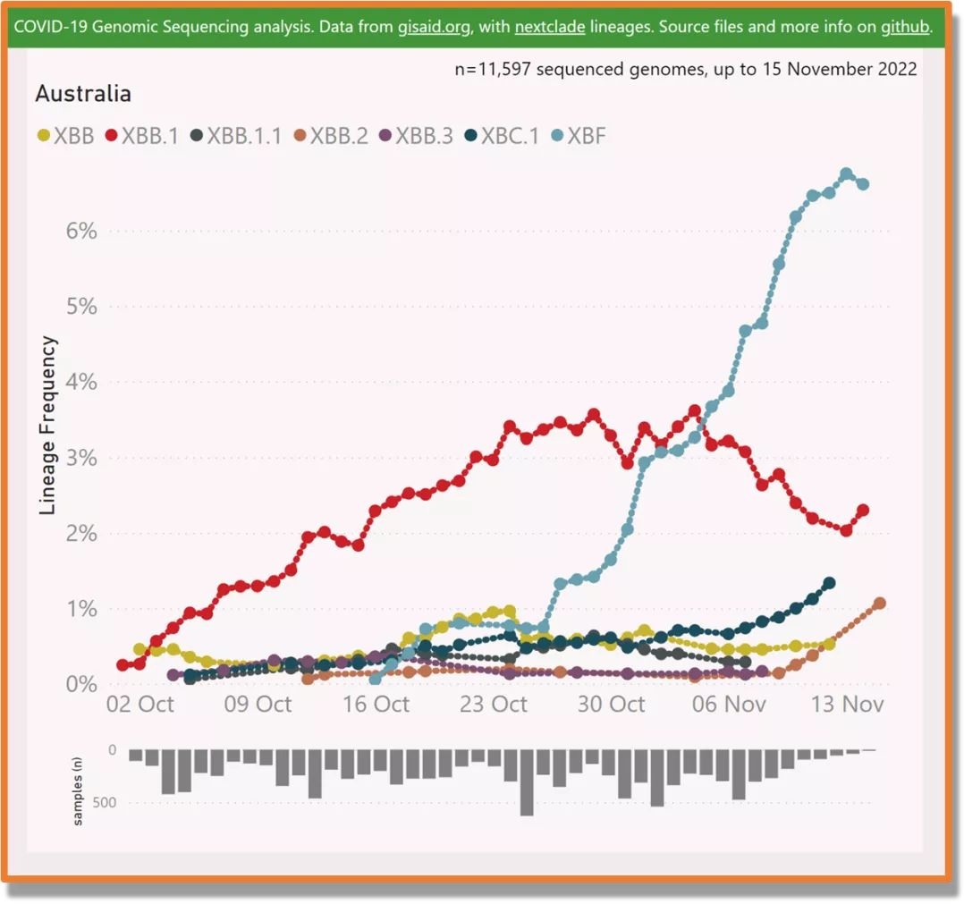 土澳最新毒株XBF全面碾压XBB.1.5哔哩哔哩bilibili