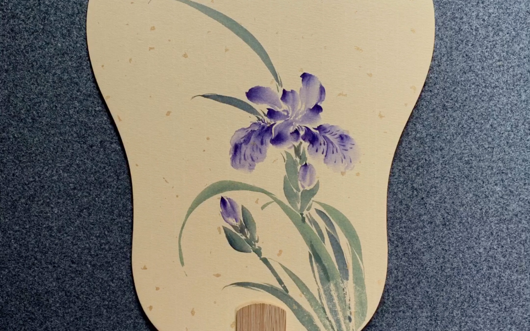 活动  【写意】鸢尾花,优雅坚韧的花～绘画过程,手绘团扇
