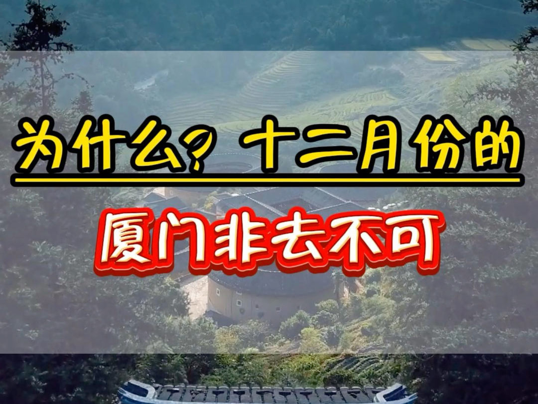 为什么说12月或者1月的厦门非去不可呢!因为这个时候的厦门人少了,天气温度也刚好.预算也不用太高.什么都不用急急忙忙的赶来赶去了.#厦门旅游攻...