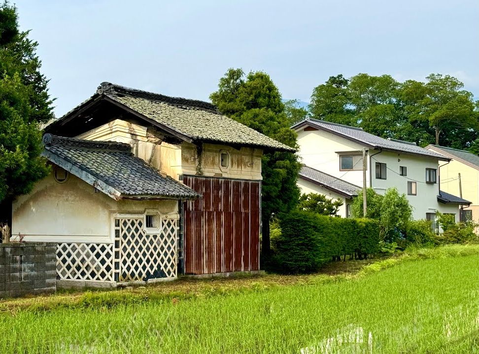 日本农村漫步,稻田,房子,乡野,自然风景无不透露着朴素气息!哔哩哔哩bilibili