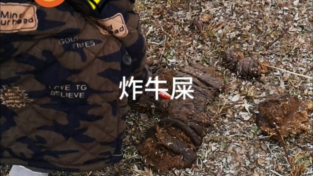 炸牛屎 炸牛粪