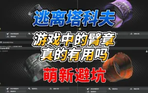 Download Video: 《逃离塔科夫萌新避坑》臂章真的有用吗？