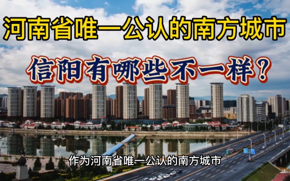 作为河南省唯一公认的南方城市,信阳有哪些不一样?哔哩哔哩bilibili