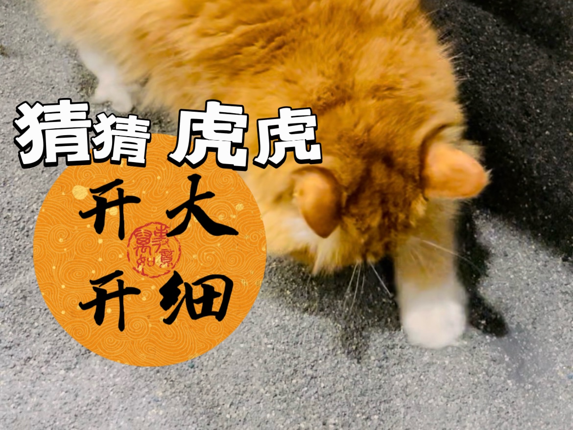 虎虎无奖竞猜游戏哔哩哔哩bilibili