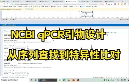 【NCBIqPCR引物设计】及【引物特异性比对】从序列查找+引物设计+引物筛选一条龙服务,不看血亏哔哩哔哩bilibili