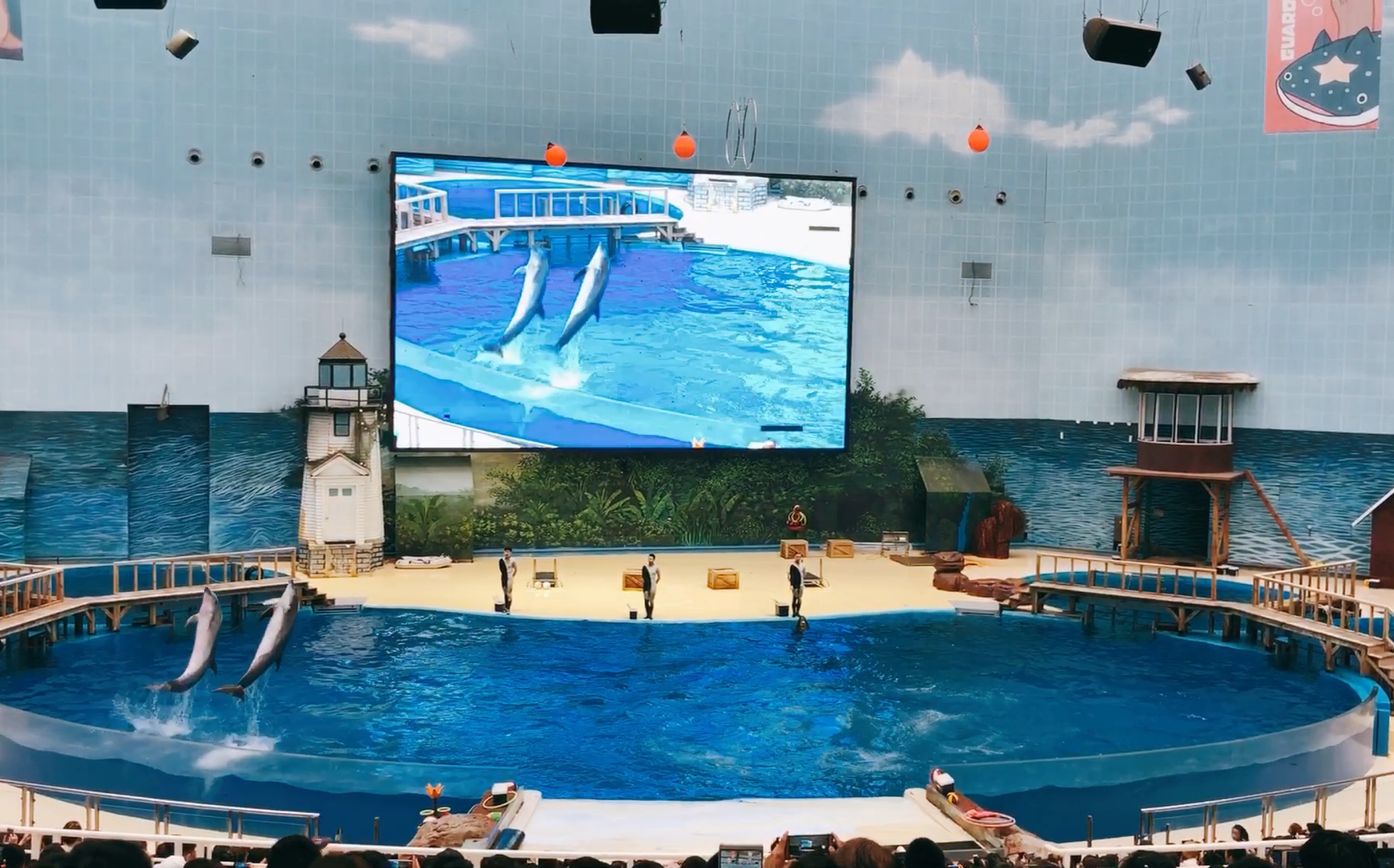 带孩子游玩天津滨海新区海昌极地海洋馆