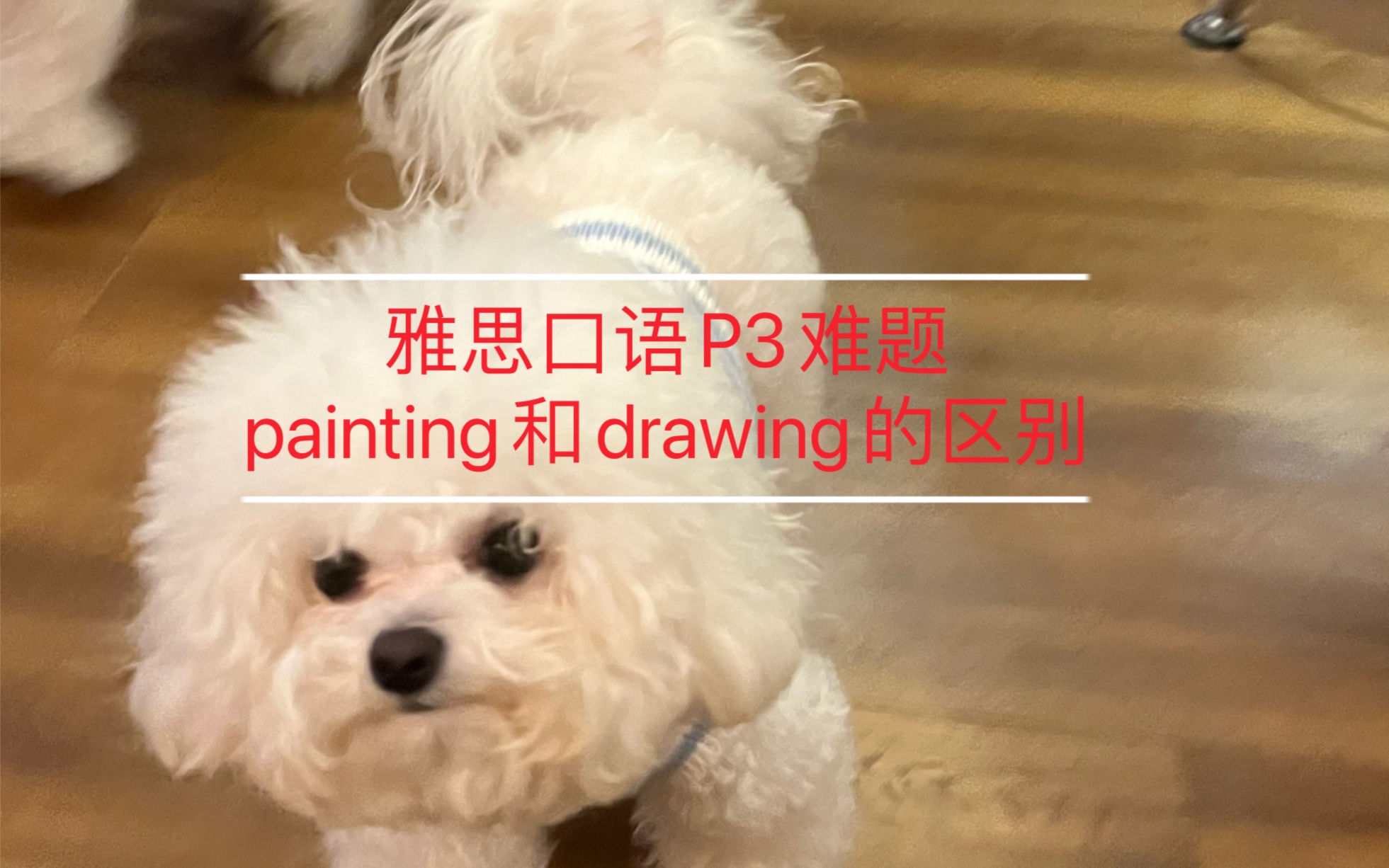 [图]雅思口语P3 难题摆烂指南 What are differences between painting and drawing？一幅画