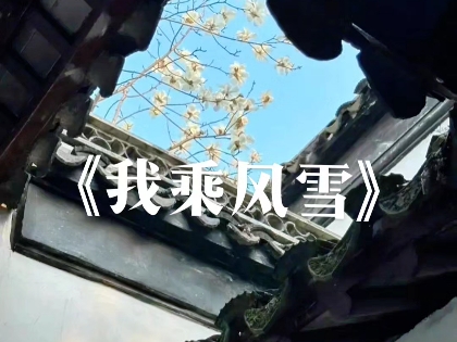 我乘风雪,本是归人, 金弦vs顺子