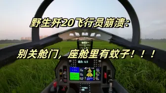 野生歼20飞行员崩溃了：别关舱门，座舱里有蚊子啊！！！！！