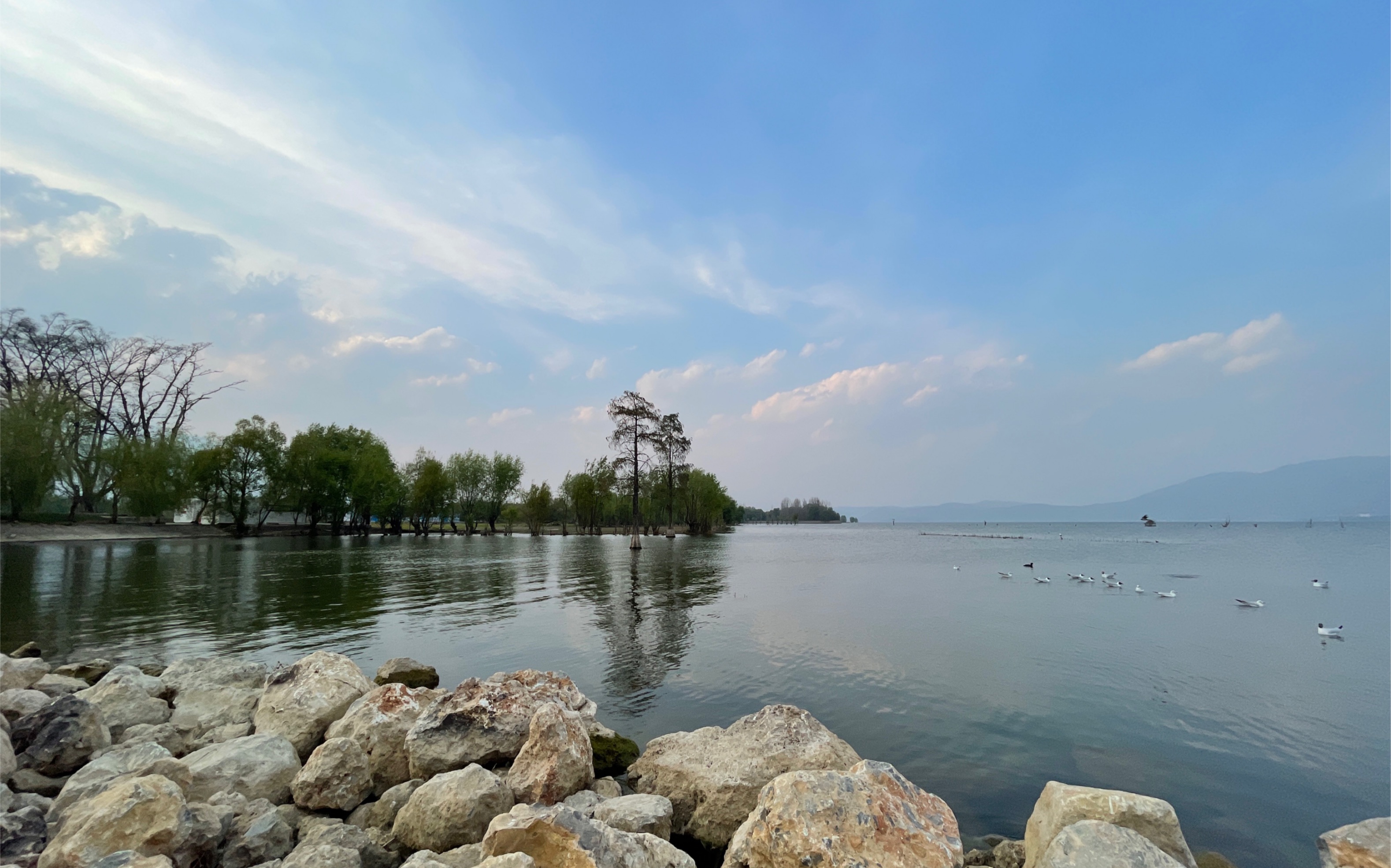 云南大理洱海海舌公园,刚修好路,以后只能骑自行车环洱海了吗?