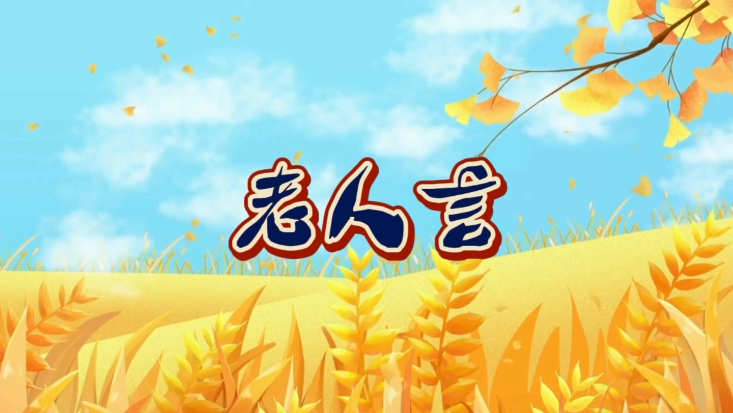 老人言,人有四百病